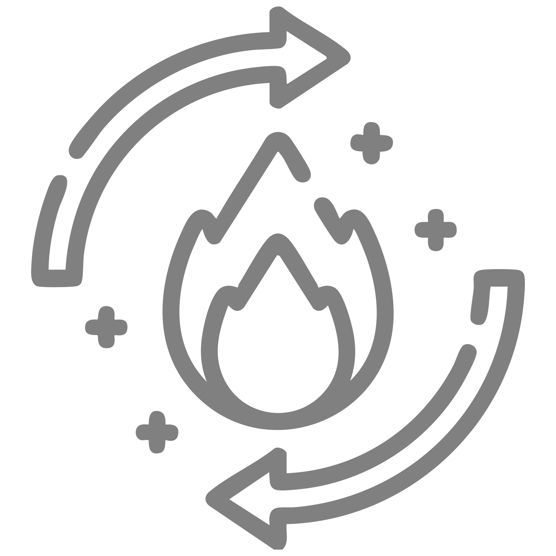 Metabolism support icon